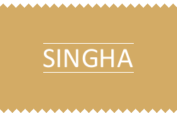 Singha Thai Restaurant Brno